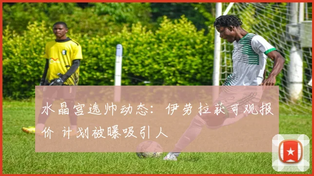 水晶宫选帅动态:伊劳拉获可观报价 计划被曝吸引人