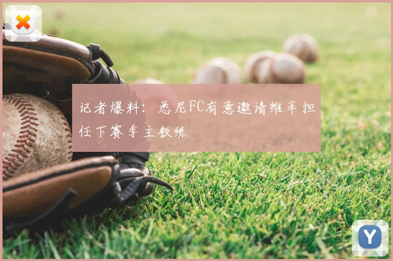 记者爆料:悉尼FC有意邀请维辛担任下赛季主教练